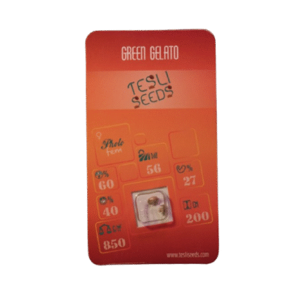GREEN GELATO