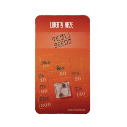LIBERTY HAZE