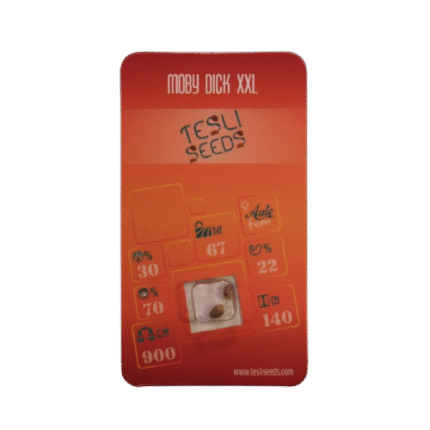 MOBY DICK XXL