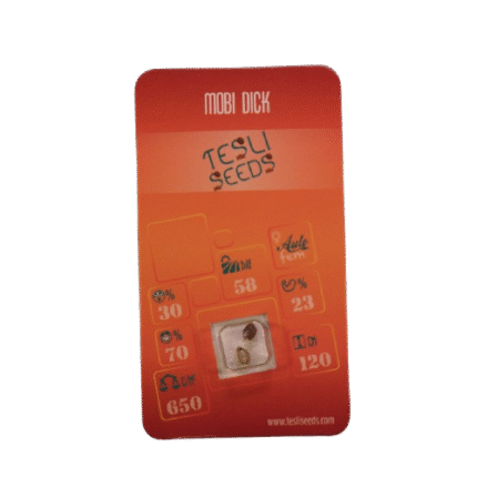 MOBI DICK