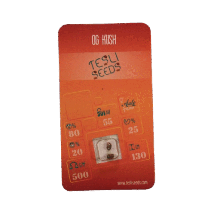 OG KUSH