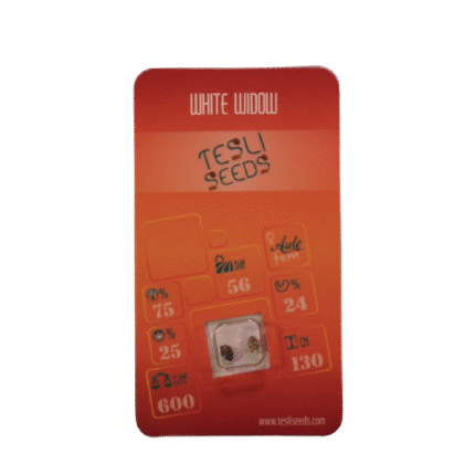 WHITE WIDOW