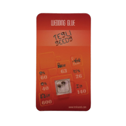 WEDDING GLUE