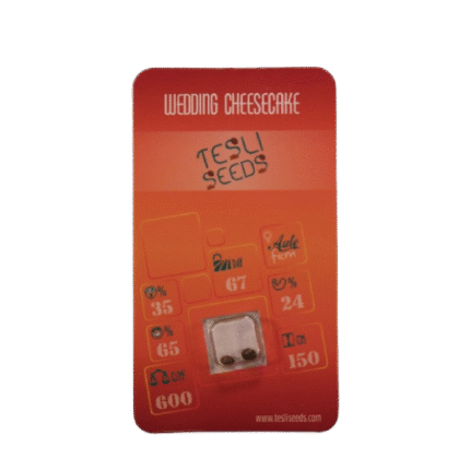 WEDDING CHEESECAKE