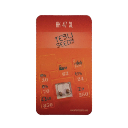 AK 47 XL